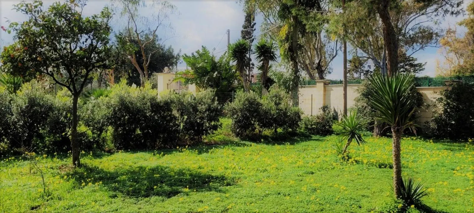 Holiday home Villa Laura Bari