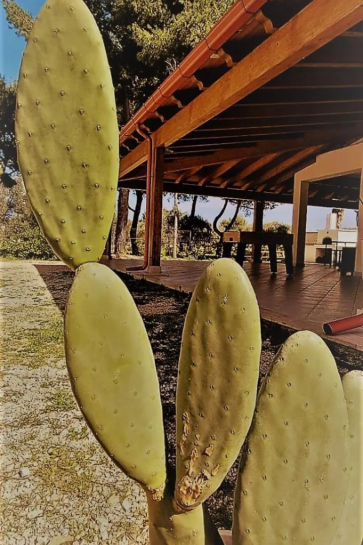 בית נופש בארי Villa Laura
